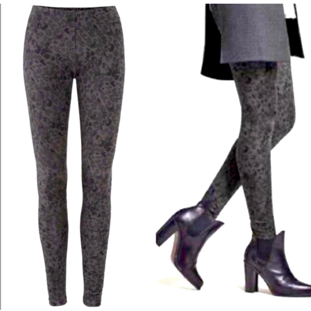 Cabi Safari Leggings